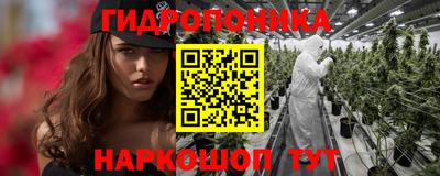 спиды Новозыбков
